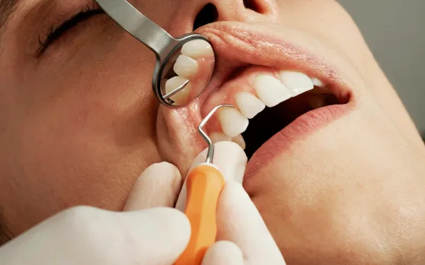 DEMO · İnci Dental